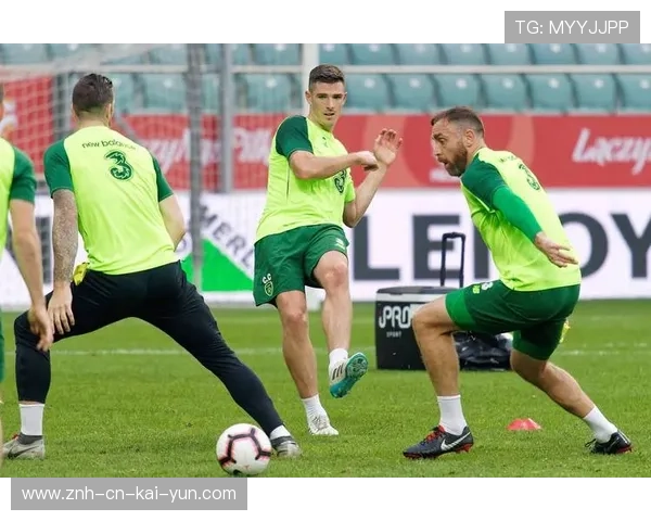 爱尔兰防守组织改善，比赛韧性明显提升